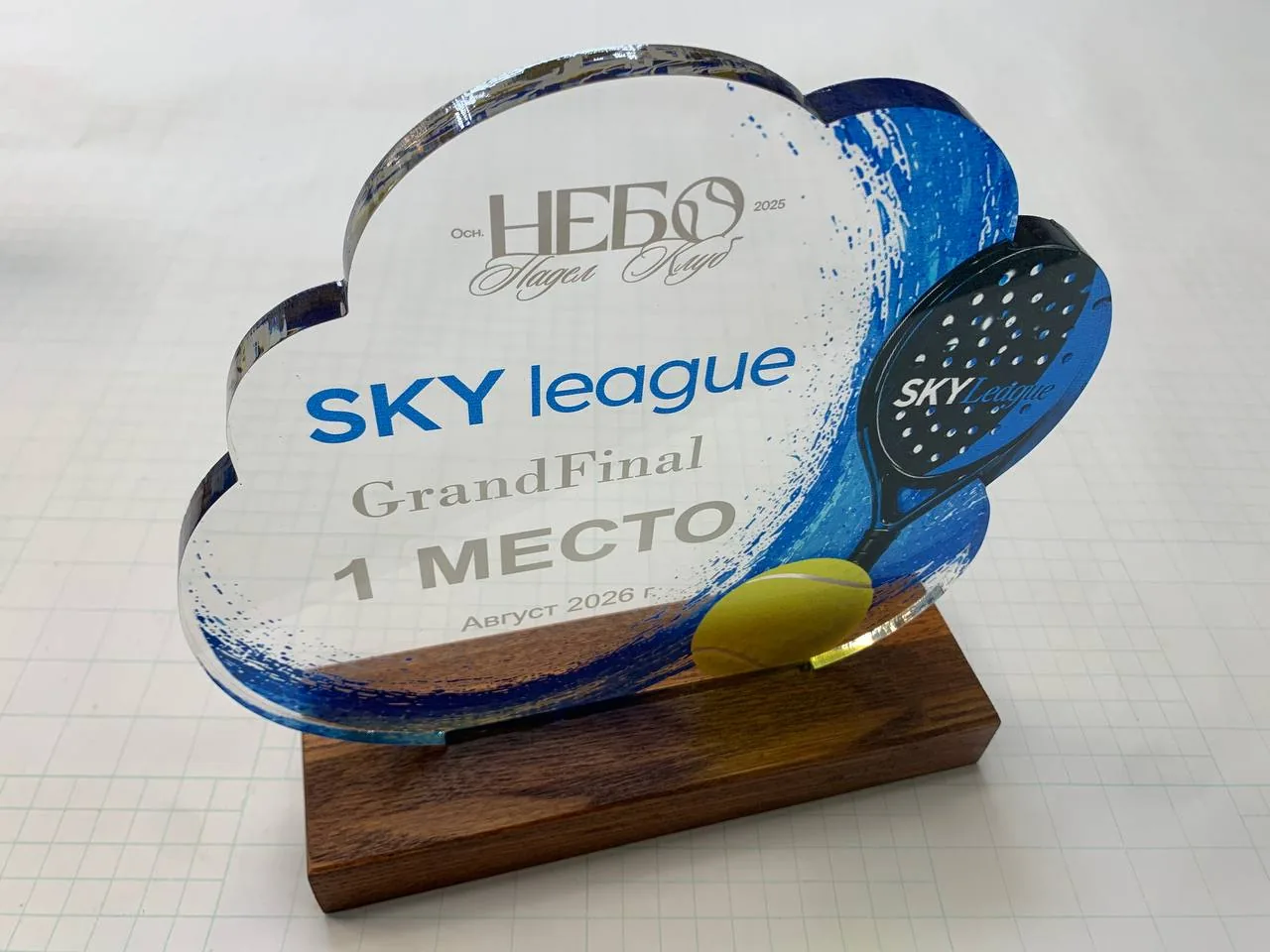 Награда SKY league с синими акцентами